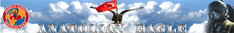 Anatolian Eagle